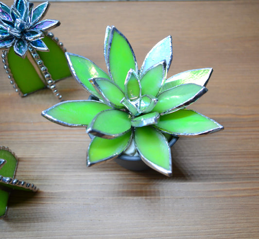 Stained glass Succulent 3D design house plant for flower pot gift, glass art, Valentine’s gift