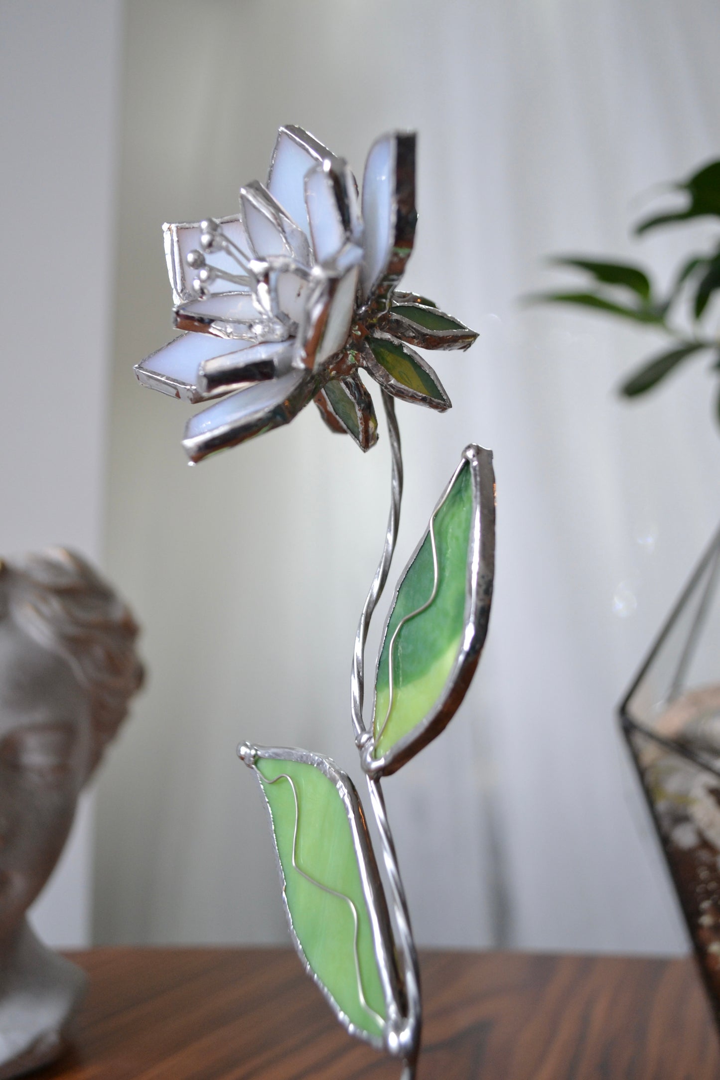 Gorgeous peony' Stained glass Mirror Sun catcher Glass Art Home decor –  Aura-Terrariums